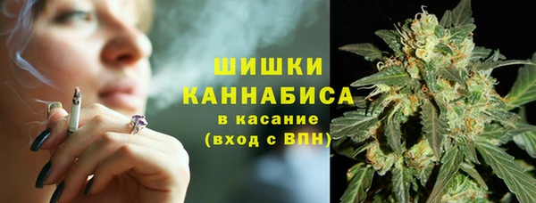 ПСИЛОЦИБИНОВЫЕ ГРИБЫ Армянск