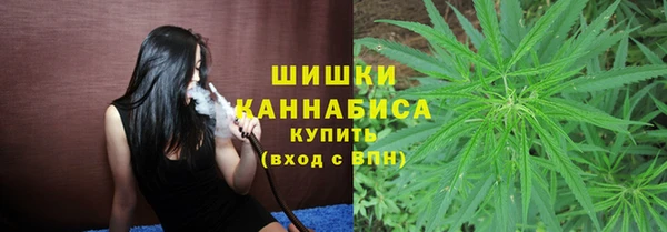 ПСИЛОЦИБИНОВЫЕ ГРИБЫ Армянск