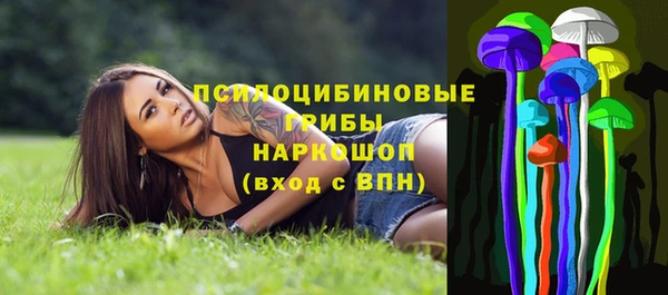 ПСИЛОЦИБИНОВЫЕ ГРИБЫ Армянск