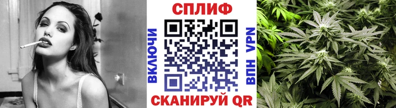 Марихуана конопля  Прохладный 